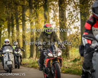 Herfstrit Moerzeke photo