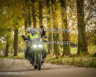 Herfstrit Moerzeke photo