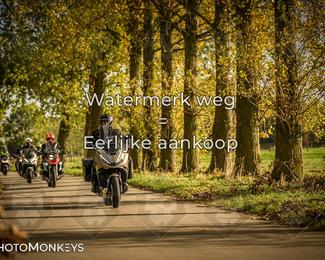 Herfstrit Moerzeke photo