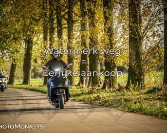 Herfstrit Moerzeke photo