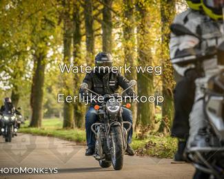 Herfstrit Moerzeke photo