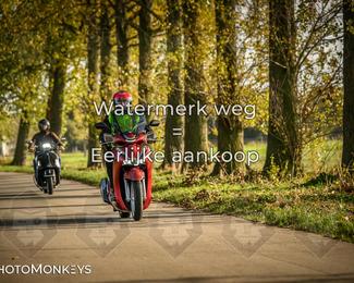 Herfstrit Moerzeke photo