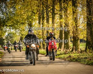 Herfstrit Moerzeke photo