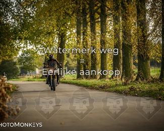 Herfstrit Moerzeke photo