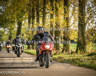 Herfstrit Moerzeke photo