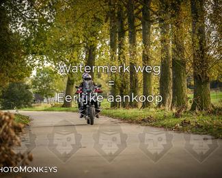 Balade d’automne Moerzeke photo