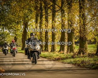 Herfstrit Moerzeke photo