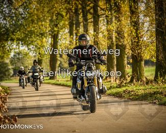 Herfstrit Moerzeke photo