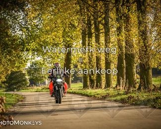 Herfstrit Moerzeke photo