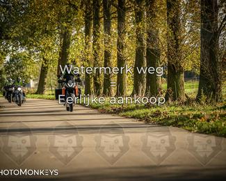 Herfstrit Moerzeke photo