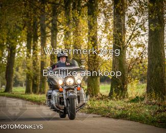 Herfstrit Moerzeke photo