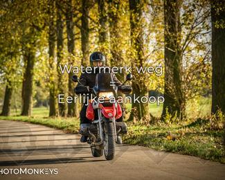 Herfstrit Moerzeke photo