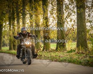 Herfstrit Moerzeke photo