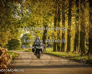 Herfstrit Moerzeke photo