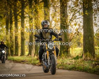 Herfstrit Moerzeke photo