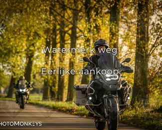 Herfstrit Moerzeke photo