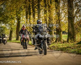 Herfstrit Moerzeke photo