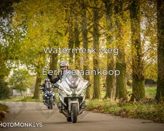 Herfstrit Moerzeke photo