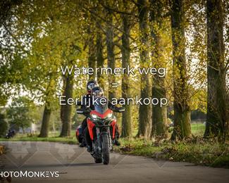 Herfstrit Moerzeke photo