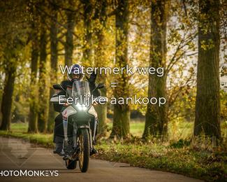 Herfstrit Moerzeke photo