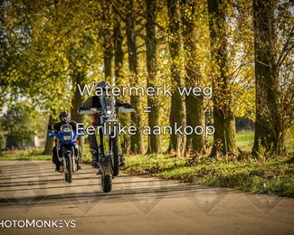 Herfstrit Moerzeke photo