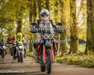 Herfstrit Moerzeke photo