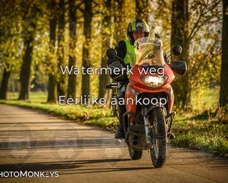 Herfstrit Moerzeke photo