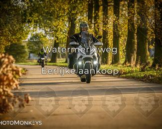 Herfstrit Moerzeke photo