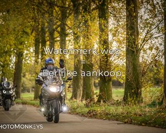 Herfstrit Moerzeke photo