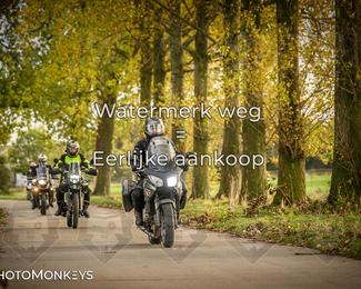 Herfstrit Moerzeke photo