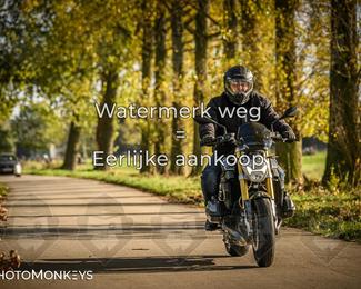 Herfstrit Moerzeke photo