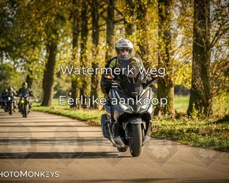 Herfstrit Moerzeke photo