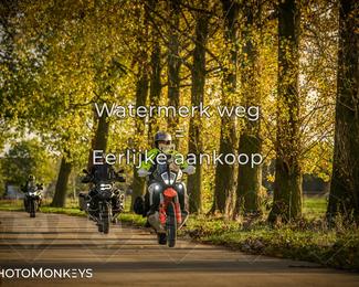 Herfstrit Moerzeke photo