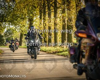 Herfstrit Moerzeke photo