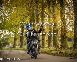 Herfstrit Moerzeke photo