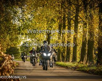 Herfstrit Moerzeke photo