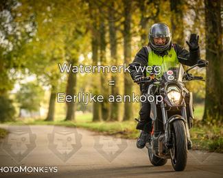 Herfstrit Moerzeke photo