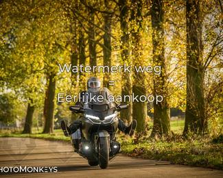 Balade d’automne Moerzeke photo