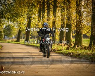 Herfstrit Moerzeke photo