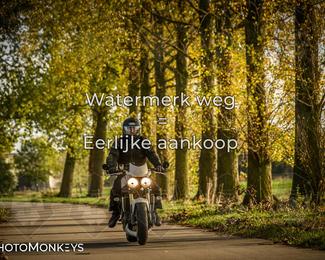 Herfstrit Moerzeke photo