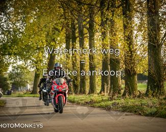 Herfstrit Moerzeke photo