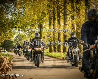 Herfstrit Moerzeke photo