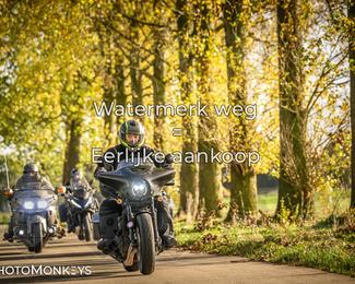 Herfstrit Moerzeke photo