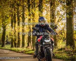 Herfstrit Moerzeke photo