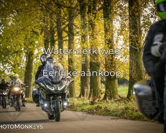 Herfstrit Moerzeke photo