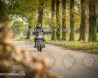 Herfstrit Moerzeke photo