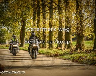 Herfstrit Moerzeke photo