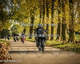 Herfstrit Moerzeke photo