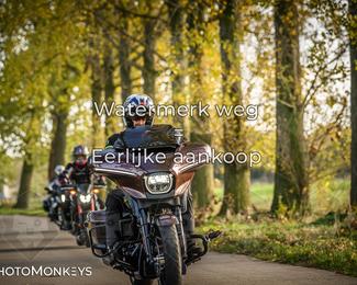 Herfstrit Moerzeke photo