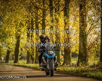 Herfstrit Moerzeke photo